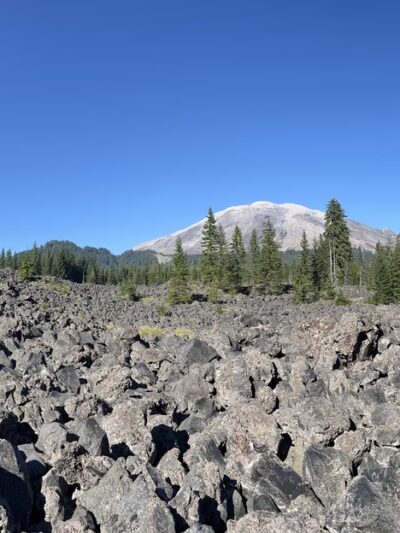 Toutle Trail - Cougar, WA