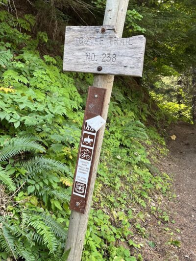 Toutle Trail - Cougar, WA