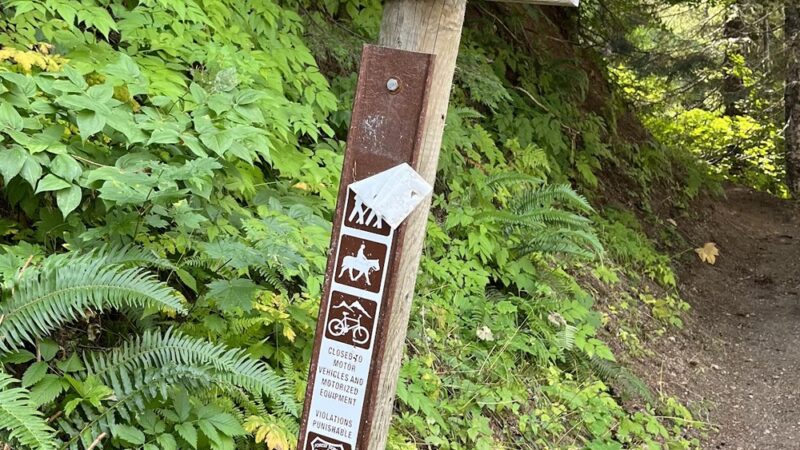 Toutle Trail - Cougar, WA