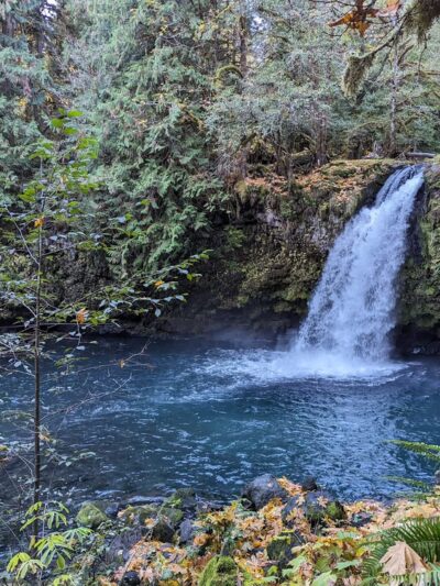 Waterfall - Cougar, WA