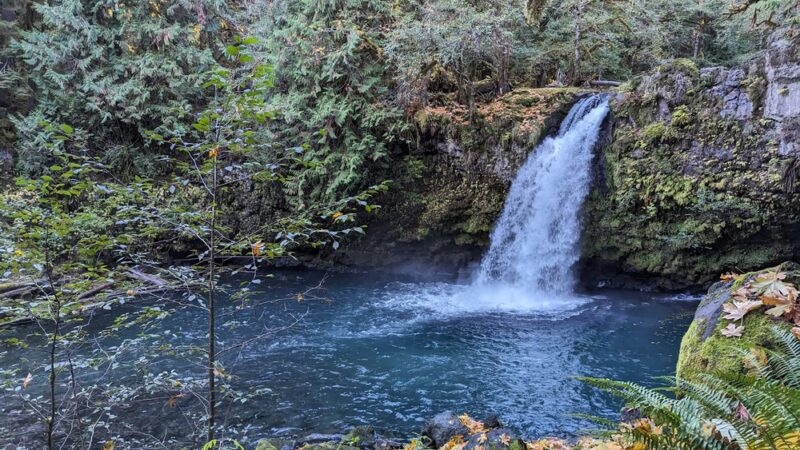 Waterfall - Cougar, WA