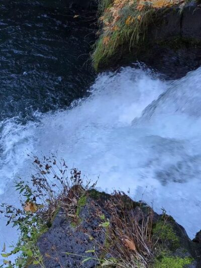 Waterfall - Cougar, WA