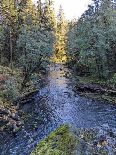 Waterfall - Cougar, WA