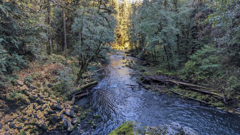 Waterfall - Cougar, WA