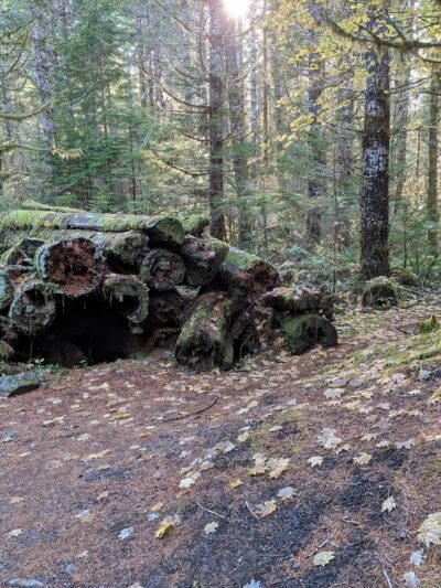 Waterfall - Cougar, WA