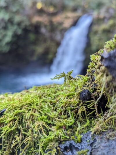Waterfall - Cougar, WA