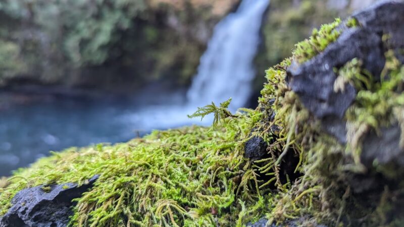 Waterfall - Cougar, WA