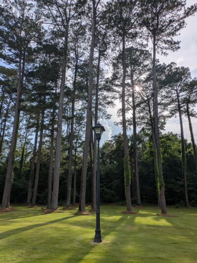 Courtland Rest Area SB - Courtland, MS