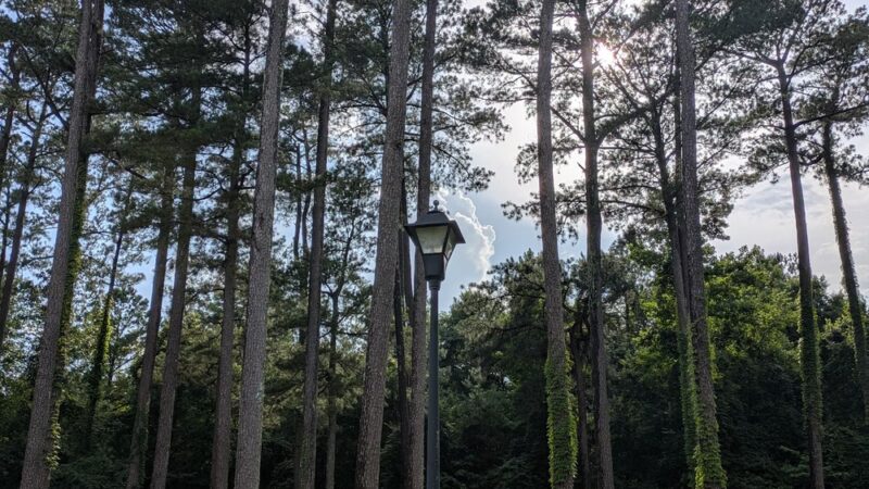 Courtland Rest Area SB - Courtland, MS