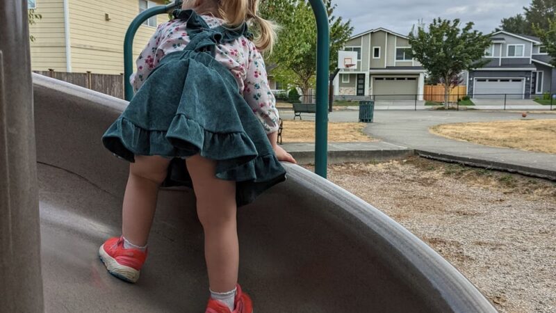 Friendship Park - Covington, WA