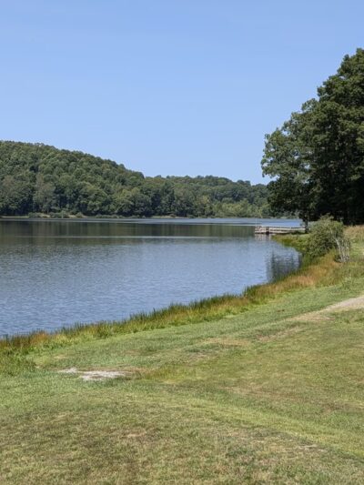 Big Ditch Wildlife Management Area - Cowen, WV
