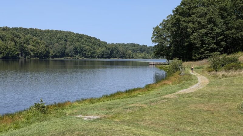 Big Ditch Wildlife Management Area - Cowen, WV