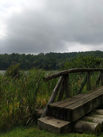 Big Ditch Wildlife Management Area - Cowen, WV