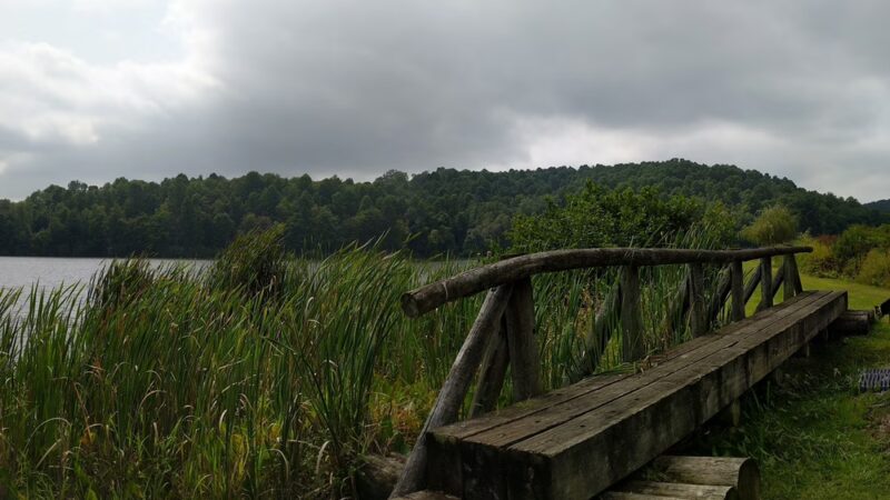 Big Ditch Wildlife Management Area - Cowen, WV