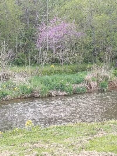 Crane Park - Crane, MO