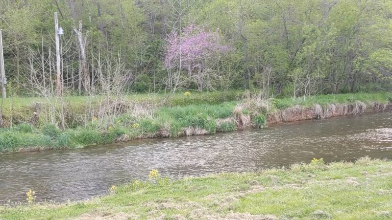 Crane Park - Crane, MO