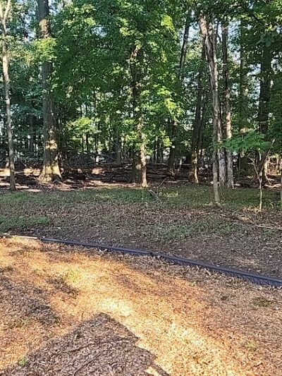 Buchanan Park - Cranford, NJ