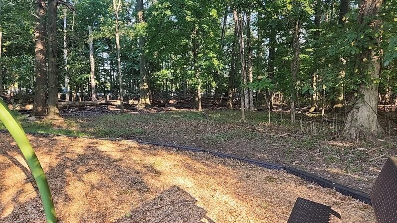 Buchanan Park - Cranford, NJ