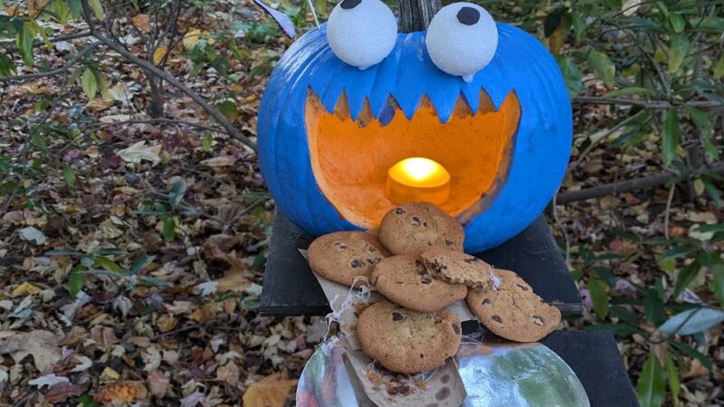 Hanson Park - Cranford, NJ