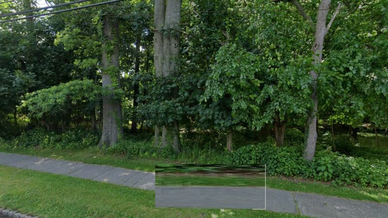 Haskins Park - Cranford, NJ