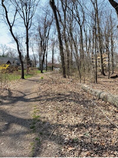 Haskins Park - Cranford, NJ
