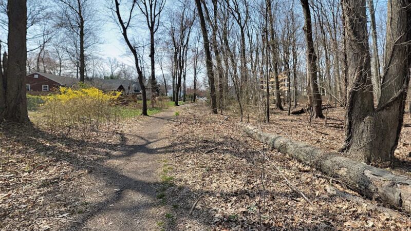Haskins Park - Cranford, NJ