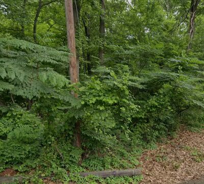 Haskins Park - Cranford, NJ