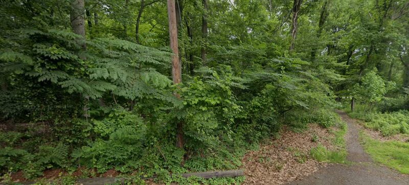 Haskins Park - Cranford, NJ