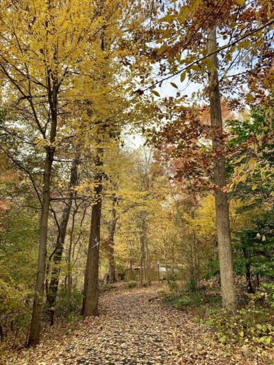 Rahway River Parkway - Mohawk Section - Cranford, NJ