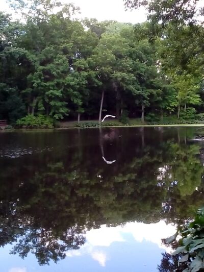 Rahway River Parkway - Mohawk Section - Cranford, NJ