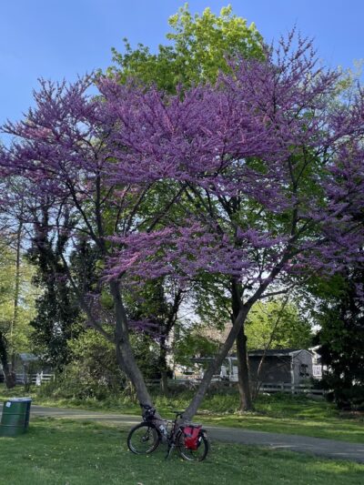 Rahway River Parkway - Mohawk Section - Cranford, NJ