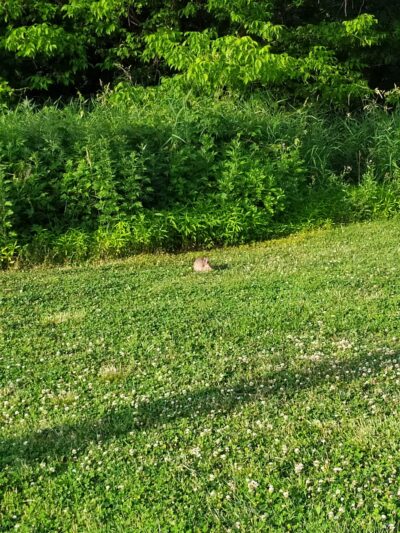 Brookline Park Add - Cresskill, NJ