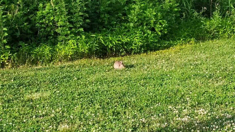 Brookline Park Add - Cresskill, NJ