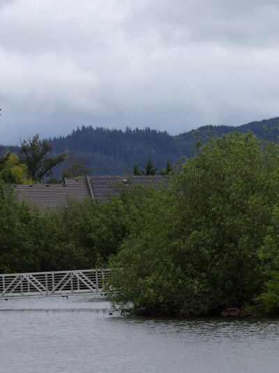 Garden Lake - Creswell, OR