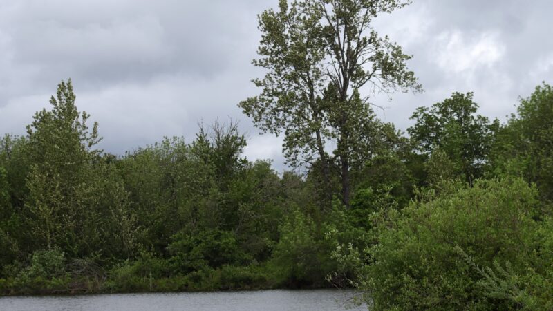 Garden Lake - Creswell, OR