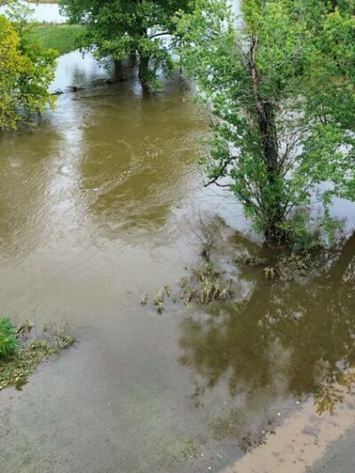 Crimora Park - Crimora, VA