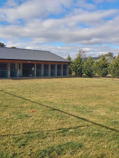 Mine Branch Dog Ranch, LLC. - Crimora, VA