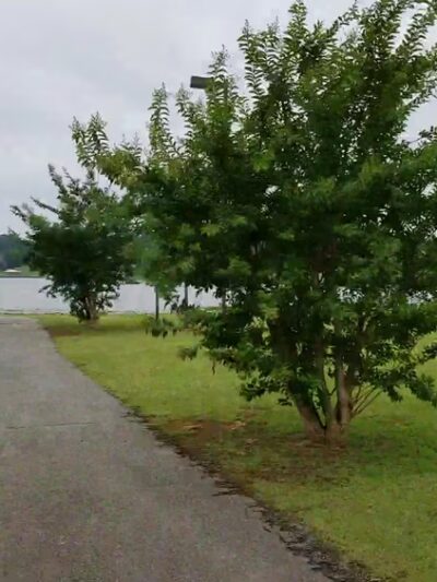 Lakeside Park - Cropwell, AL
