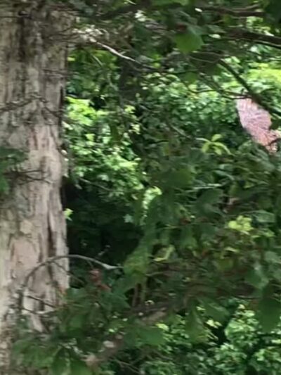 Croton Landing Park - Croton-On-Hudson, NY