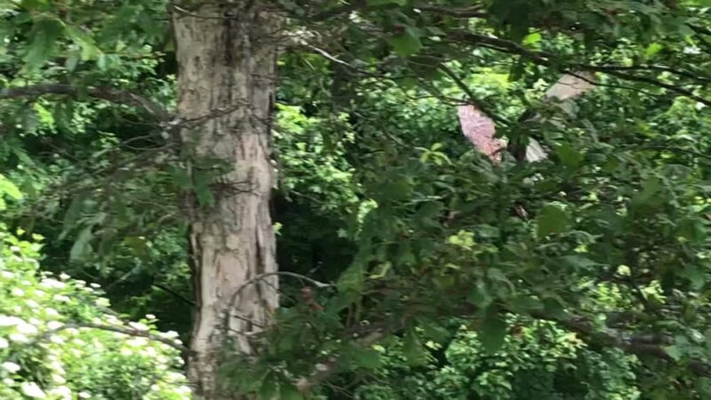 Croton Landing Park - Croton-On-Hudson, NY