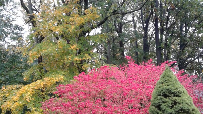Gouveia Park - Croton-On-Hudson, NY