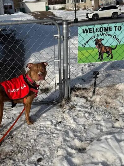 Crystal Sniffspot- PRIVATE RENTAL Dog Park - Crystal, MN