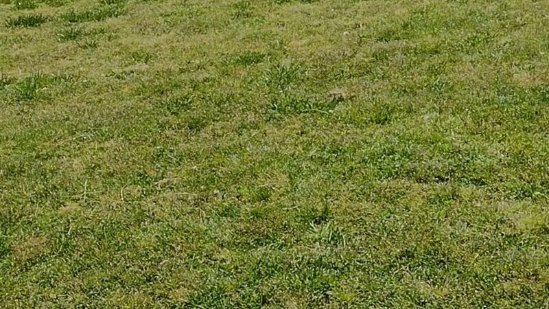 Fairview Town Park - Cullman, AL