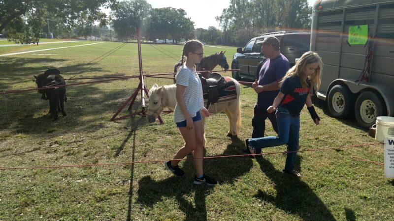 Fairview Town Park - Cullman, AL