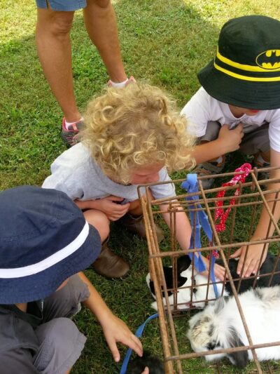 Fairview Town Park - Cullman, AL