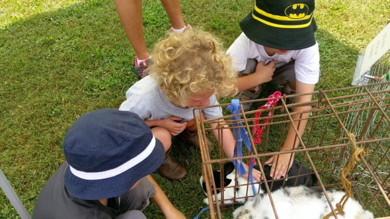 Fairview Town Park - Cullman, AL