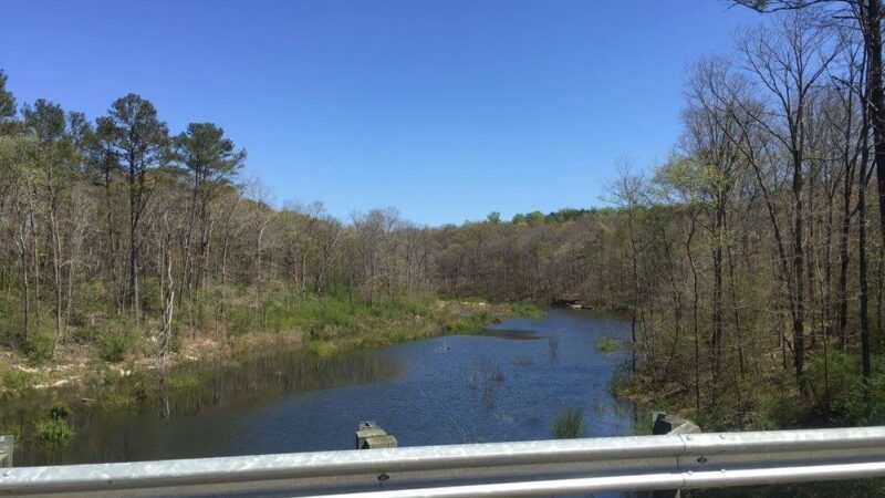 Duck River Reservoir - Cullman, AL