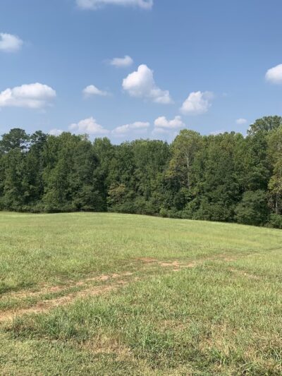 Caney Creek Preserve - Cumming, GA