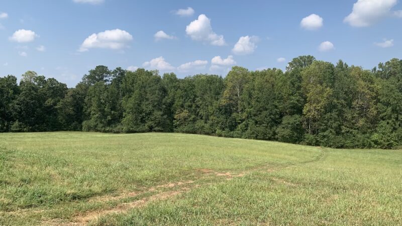 Caney Creek Preserve - Cumming, GA
