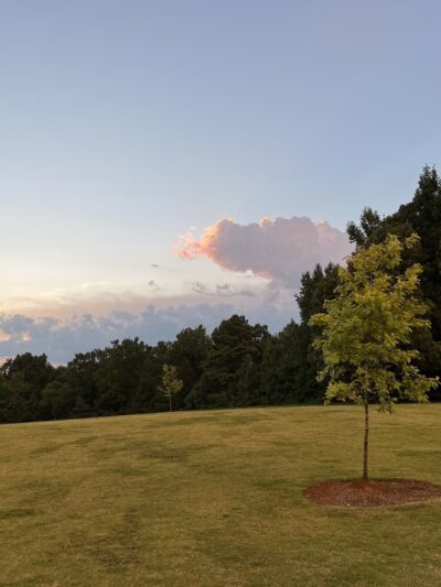 Caney Creek Preserve - Cumming, GA